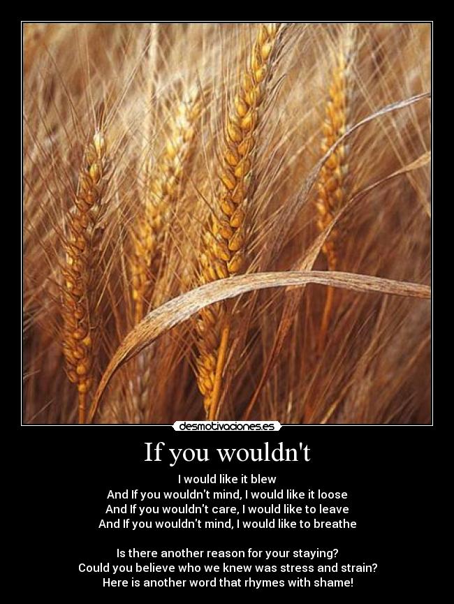 If you wouldnt - I would like it blew
And If you wouldnt mind, I would like it loose
And If you wouldnt care, I would like to leave
And If you wouldnt mind, I would like to breathe
Is there another reason for your staying?
Could you believe who we knew was stress and strain?
Here is another word that rhymes with shame!