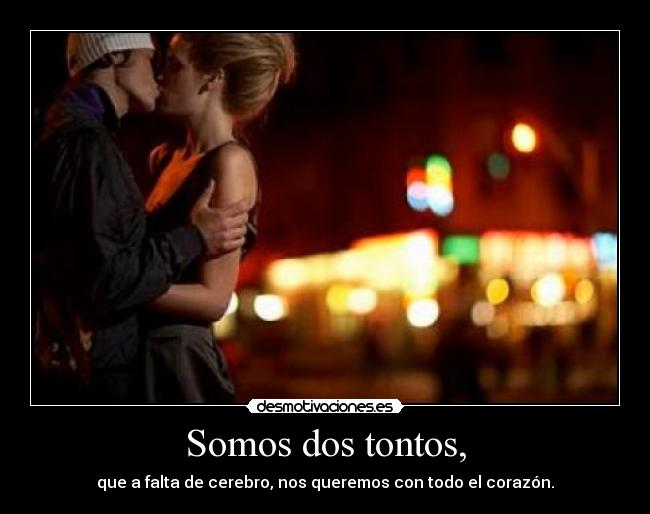 Somos dos tontos, - que a falta de cerebro, nos queremos con todo el corazón.