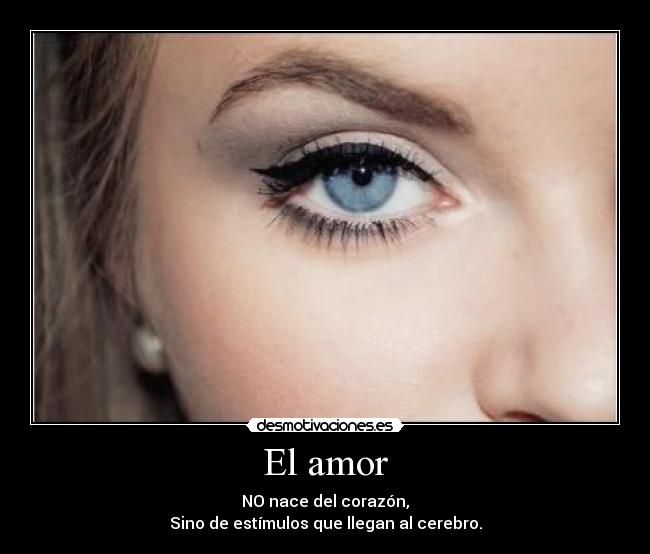 El amor - NO nace del corazón,
Sino de estímulos que llegan al cerebro.