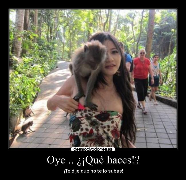 Oye .. ¿¡Qué haces!? - ¡Te dije que no te lo subas!