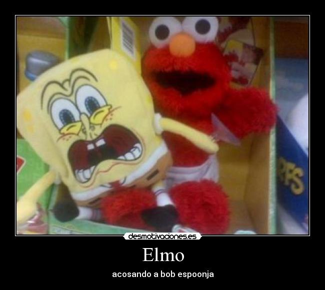 Elmo - acosando a bob espoonja