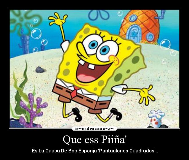 Que ess Piiña -