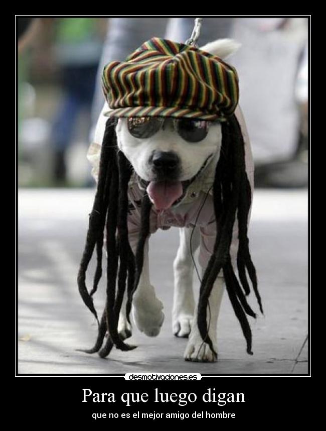 Para que luego digan -