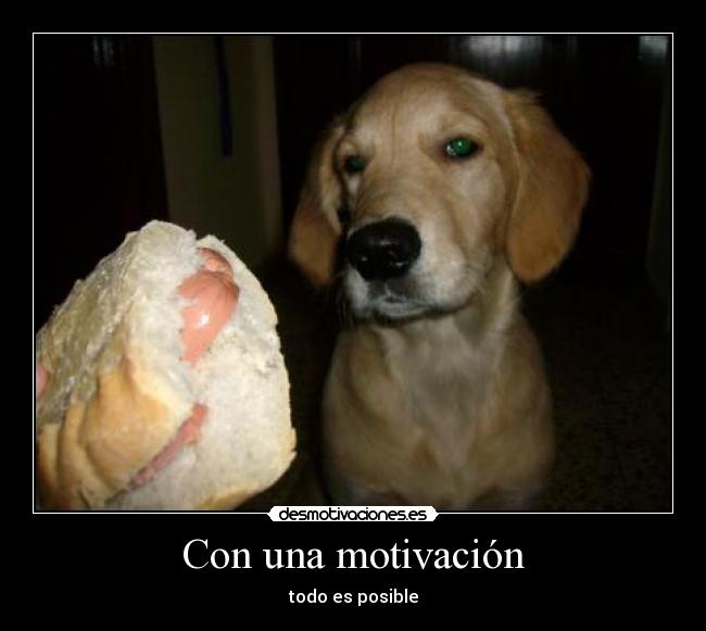 Con una motivación - todo es posible