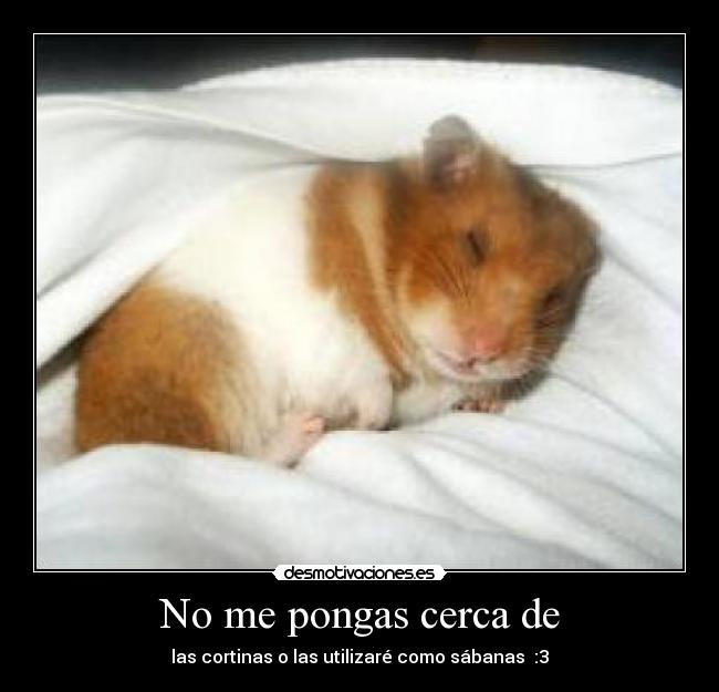 No me pongas cerca de - las cortinas o las utilizaré como sábanas  :3