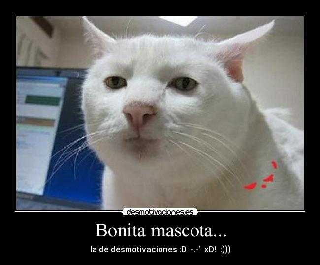 Bonita mascota... - la de desmotivaciones :D  -.-  xD!  :)))