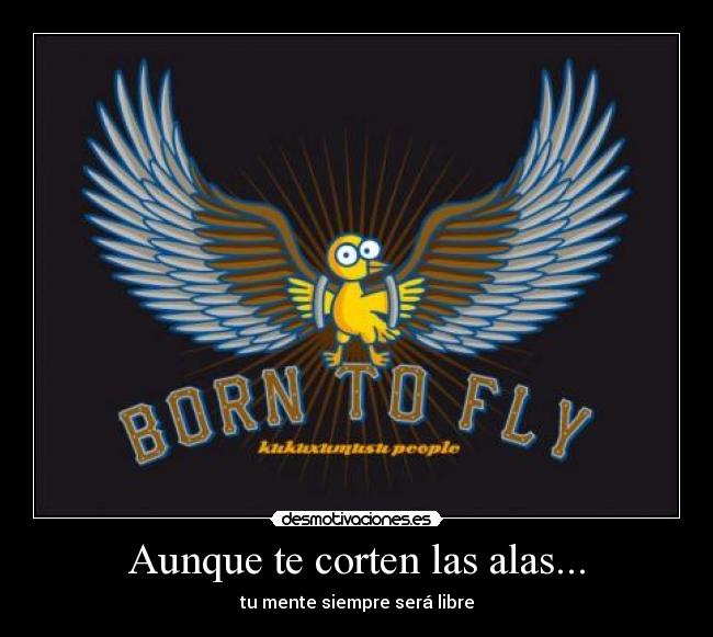 Aunque te corten las alas... - 