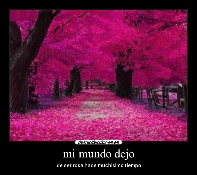 mi mundo dejo - de ser rosa hace muchisimo tiempo