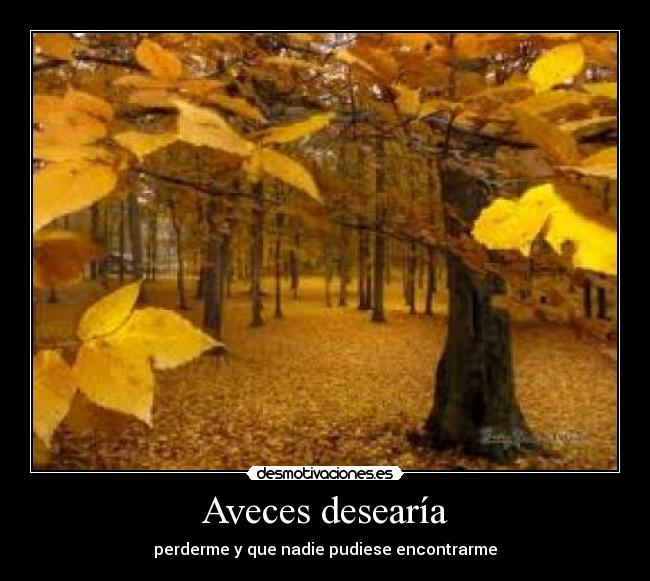 Aveces desearía - perderme y que nadie pudiese encontrarme