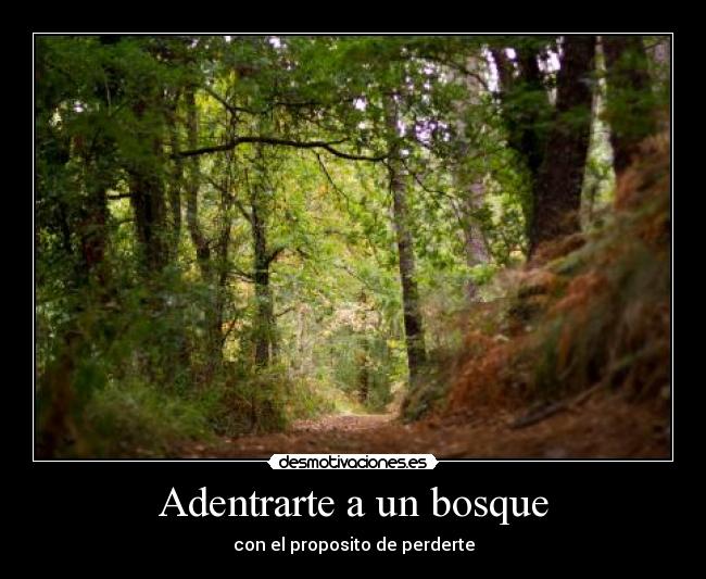 Adentrarte a un bosque -