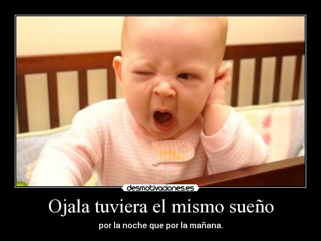 Ojala tuviera el mismo sueño - por la noche que por la mañana.