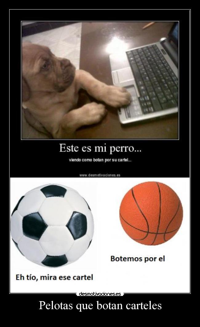 Pelotas que botan carteles -