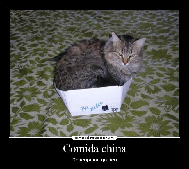 Comida china - Descripcion grafica
