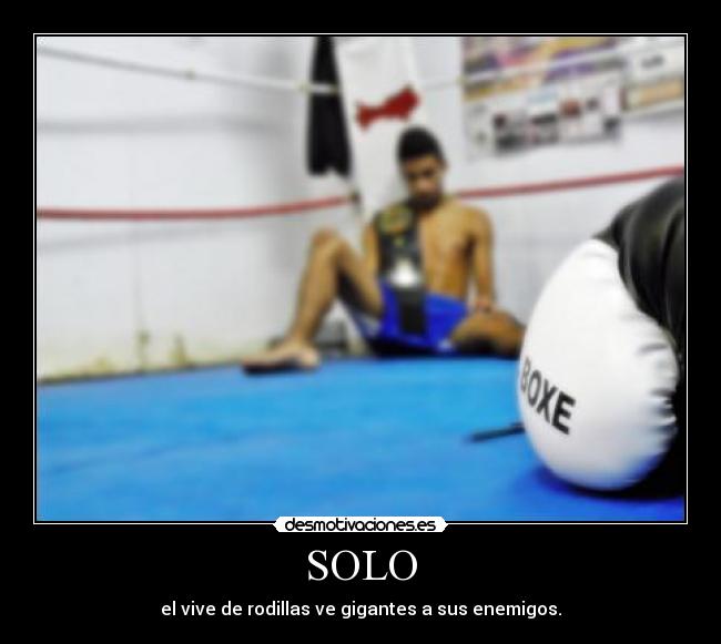 SOLO - 