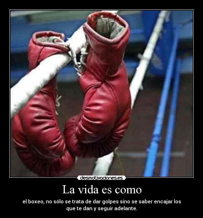 La vida es como - el boxeo, no sólo se trata de dar golpes sino se saber encajar los
que te dan y seguir adelante.