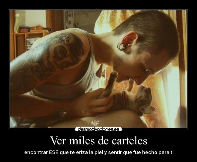 Ver miles de carteles - 