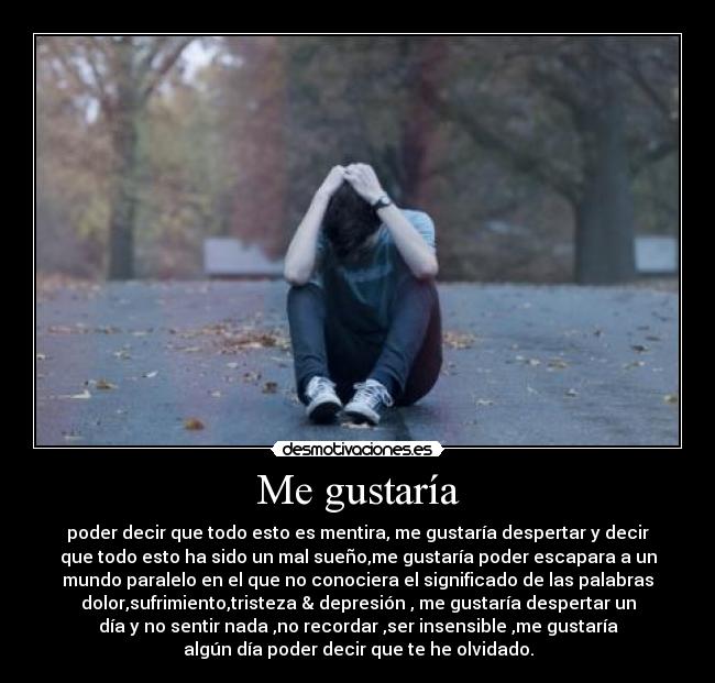 Me gustaría - poder decir que todo esto es mentira, me gustaría despertar y decir
que todo esto ha sido un mal sueño,me gustaría poder escapara a un
mundo paralelo en el que no conociera el significado de las palabras
dolor,sufrimiento,tristeza & depresión , me gustaría despertar un
día y no sentir nada ,no recordar ,ser insensible ,me gustaría
algún día poder decir que te he olvidado.