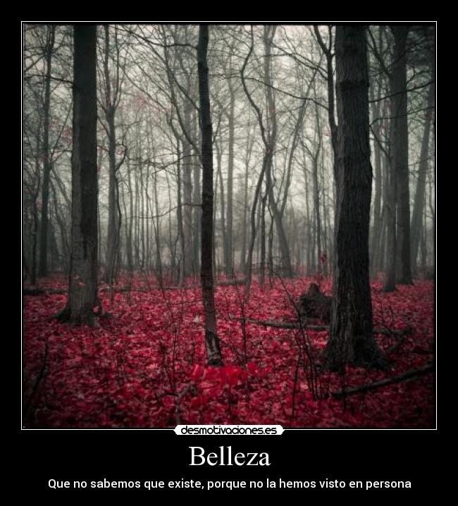 carteles bellaza natural paisaje desmotivaciones