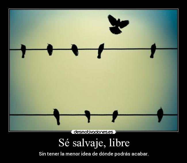 Sé salvaje, libre -