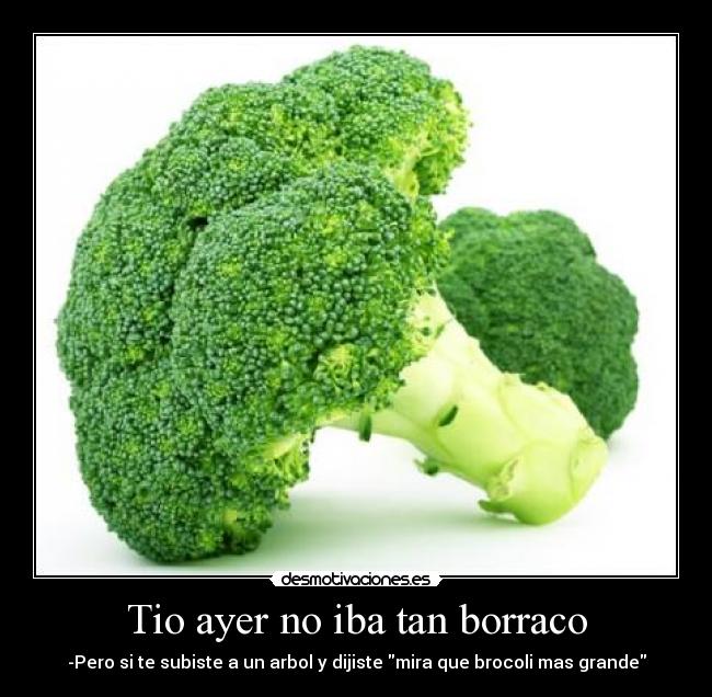 Tio ayer no iba tan borraco - 