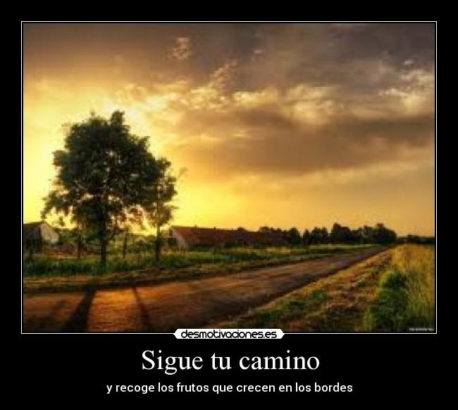 Sigue tu camino -