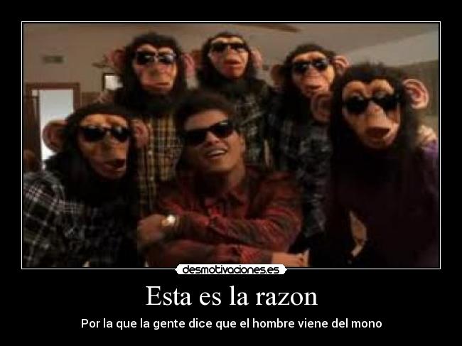 Esta es la razon - Por la que la gente dice que el hombre viene del mono