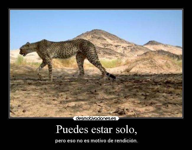 Puedes estar solo, - pero eso no es motivo de rendición.