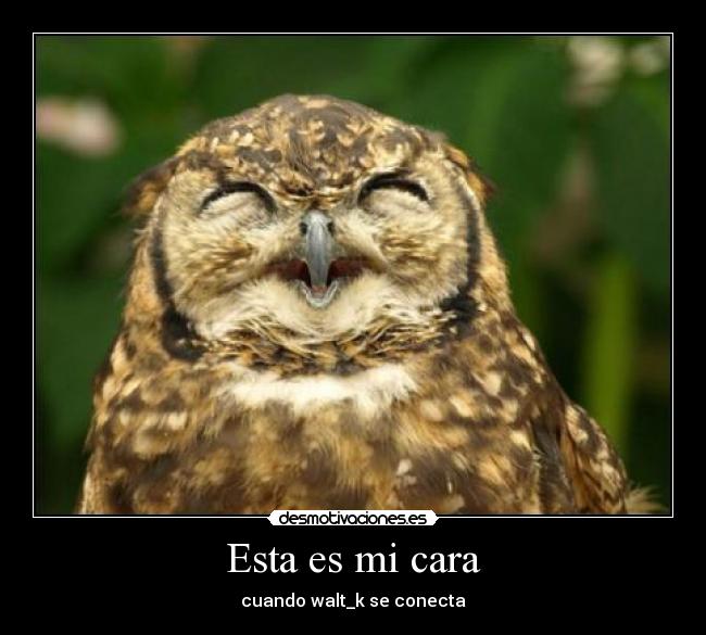 Esta es mi cara - cuando walt_k se conecta