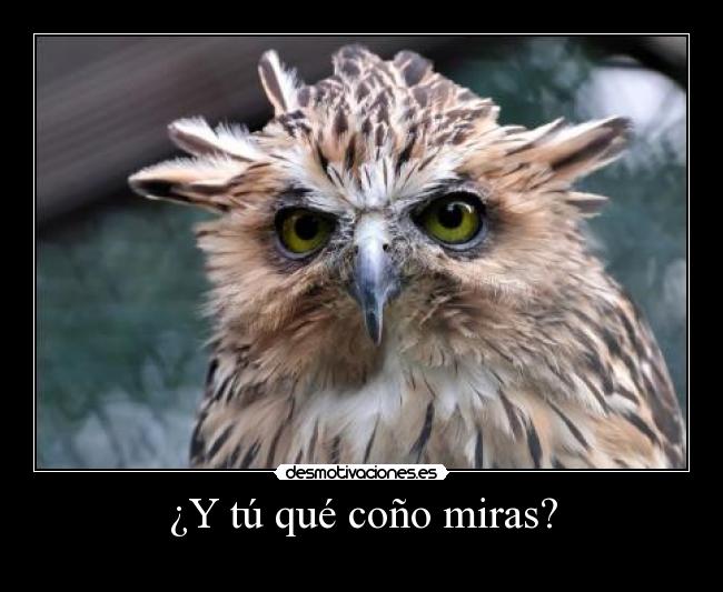 ¿Y tú qué coño miras? - 