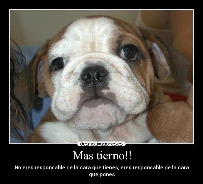 Mas tierno!! -