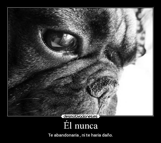 Él nunca - Te abandonaría , ni te haría daño.