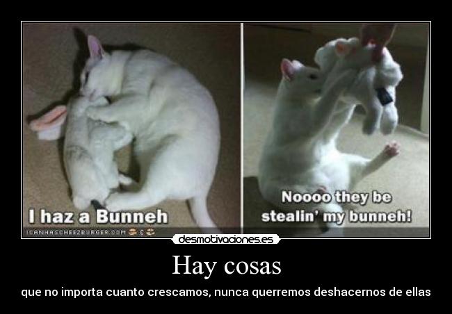 Hay cosas - que no importa cuanto crescamos, nunca querremos deshacernos de ellas.