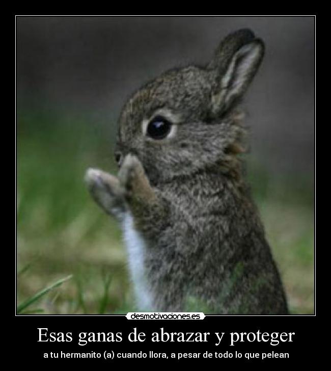 Esas ganas de abrazar y proteger -