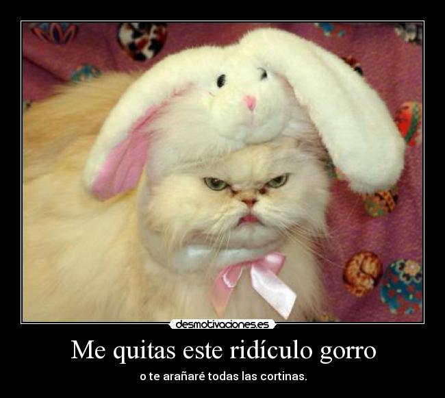 Me quitas este ridículo gorro -