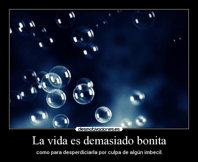 La vida es demasiado bonita - como para desperdiciarla por culpa de algún imbecil.