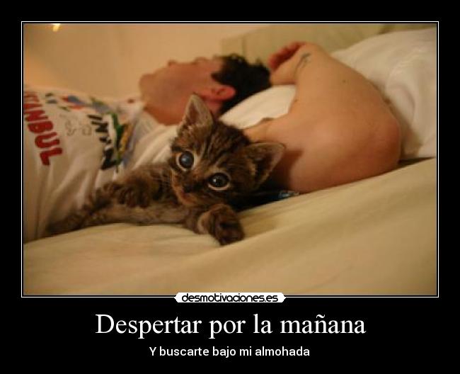 carteles 67pitu98 tuelquemeacefelizzodzzk desmotivaciones