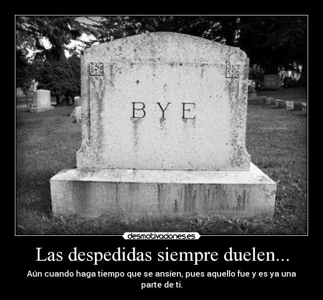 Las despedidas siempre duelen... - 