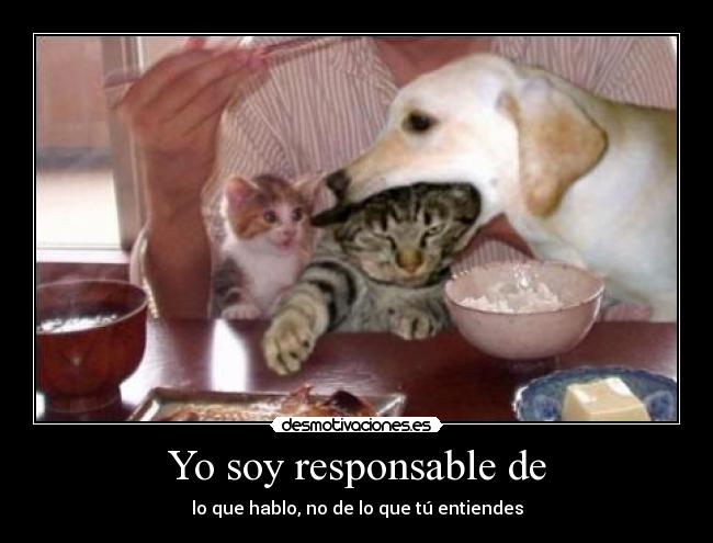 Yo soy responsable de - 