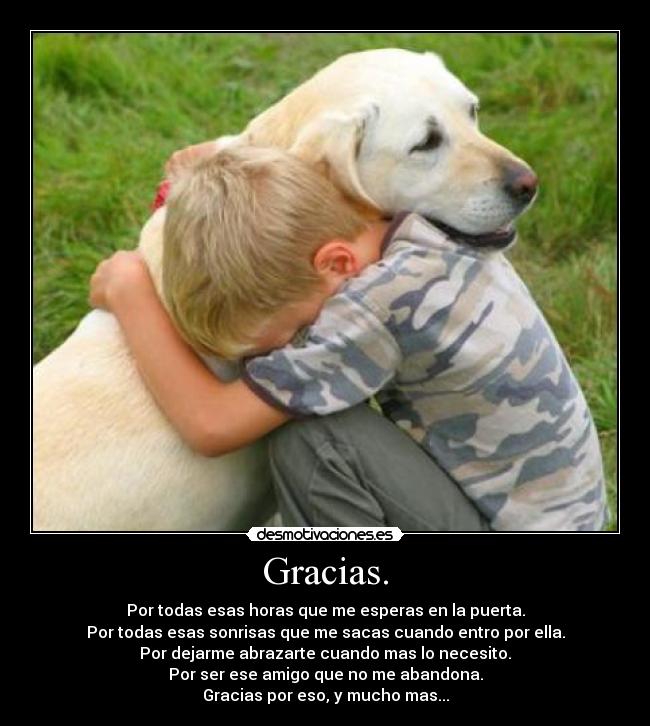 Gracias. -