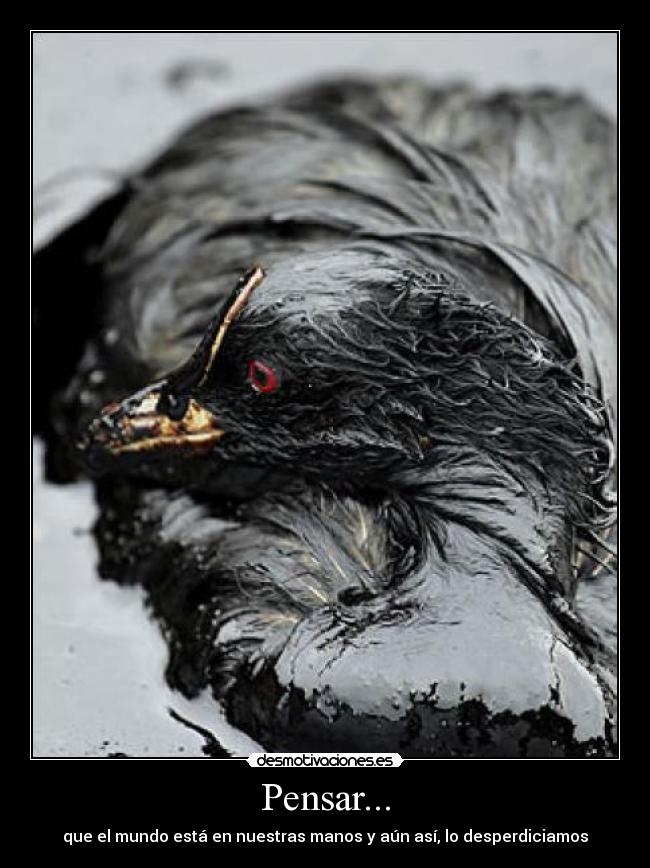 Pensar... - que el mundo está en nuestras manos y aún así, lo desperdiciamos
