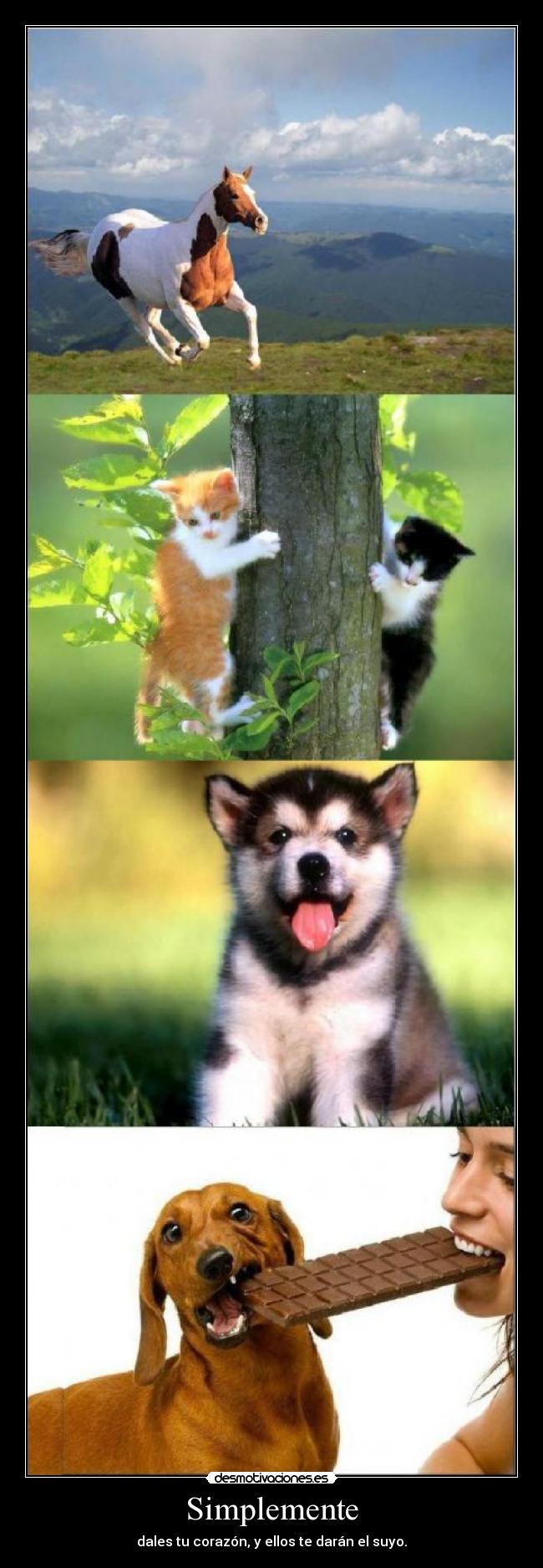 Simplemente - dales tu corazón, y ellos te darán el suyo.