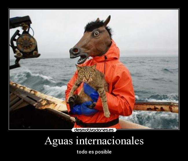 Aguas internacionales - 