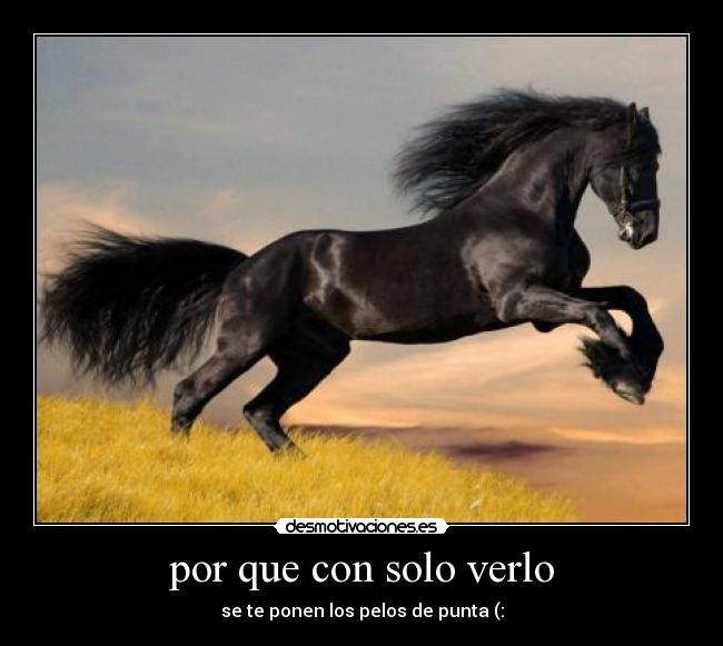 por que con solo verlo - 