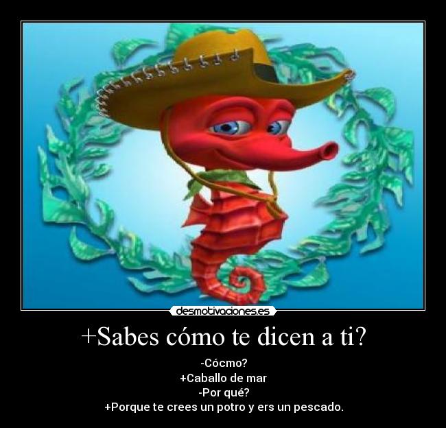 +Sabes cómo te dicen a ti? Desmotivaciones