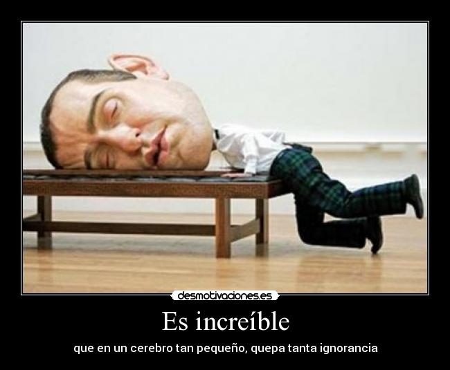 Es increíble - que en un cerebro tan pequeño, quepa tanta ignorancia