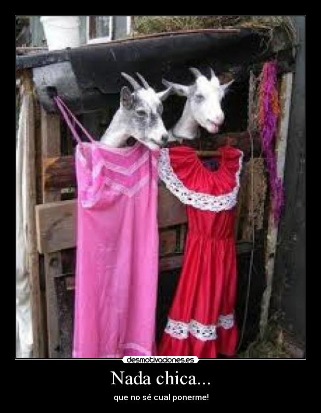 Nada chica... - que no sé cual ponerme!