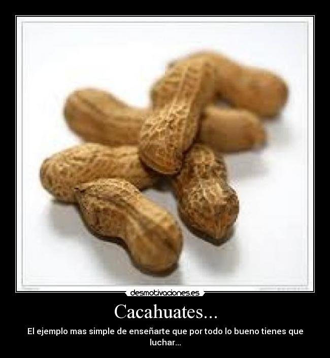 Cacahuates... - El ejemplo mas simple de enseñarte que por todo lo bueno tienes que luchar...