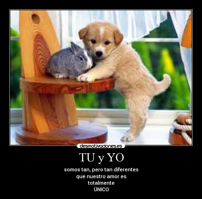 TU y YO - 