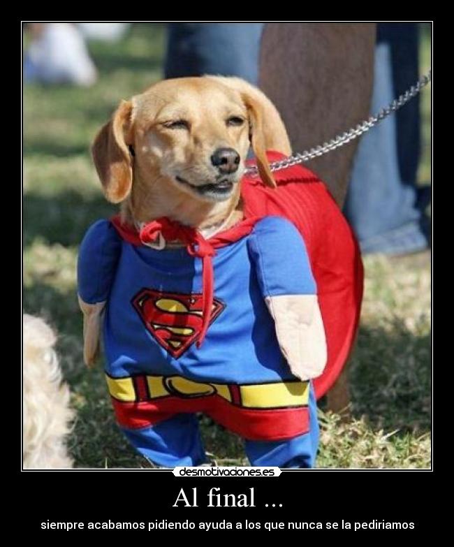Al final ... - siempre acabamos pidiendo ayuda a los que nunca se la pediriamos