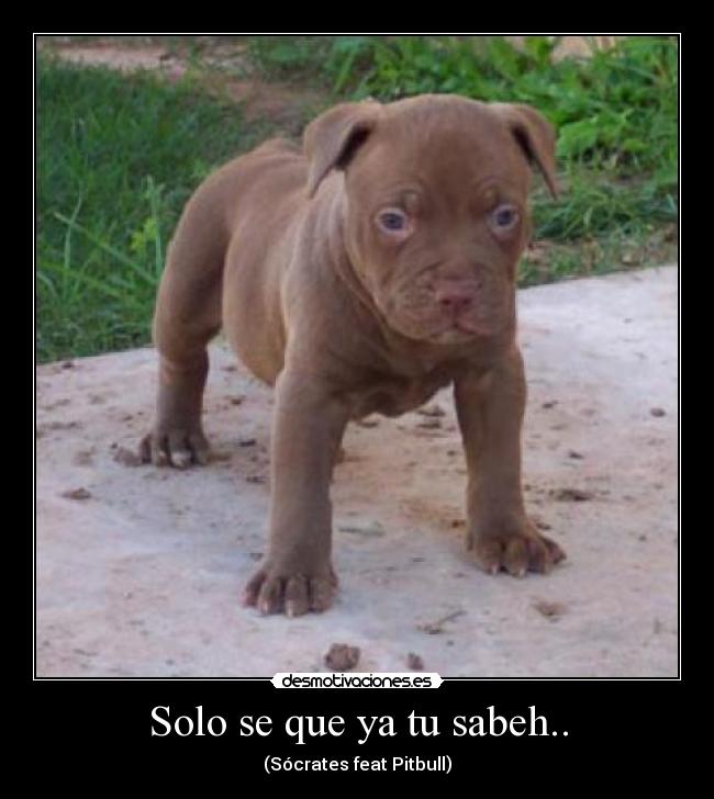Solo se que ya tu sabeh.. -